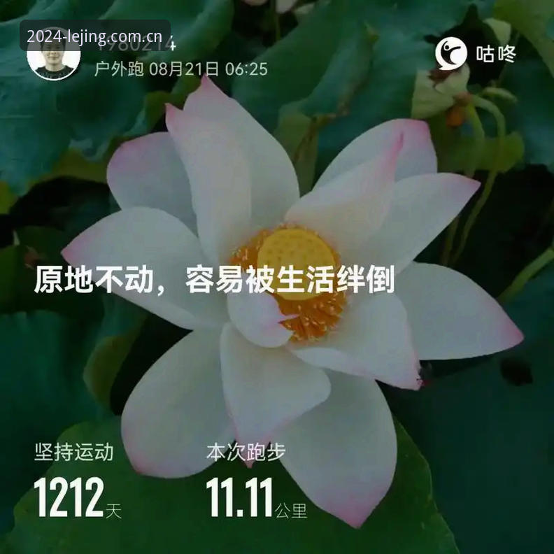 乐竞体育CN赛事数据 揭秘乐竞体育CN赛事数据:2024纪念版到底值不值得下?背后真相你未必知道